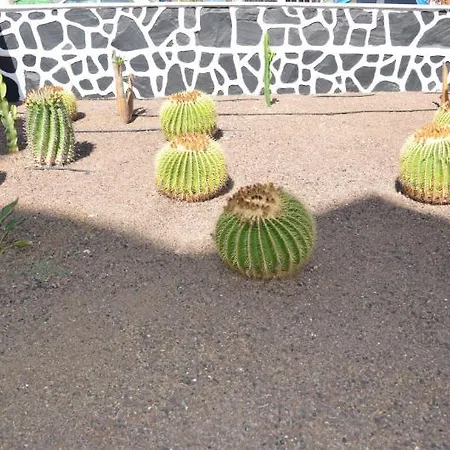 Otel Los Cactus 5*